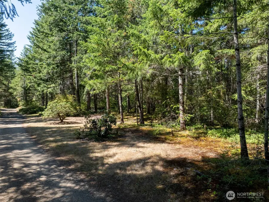 2461 W Hanks Lake Road, Shelton, WA 98584 - #3