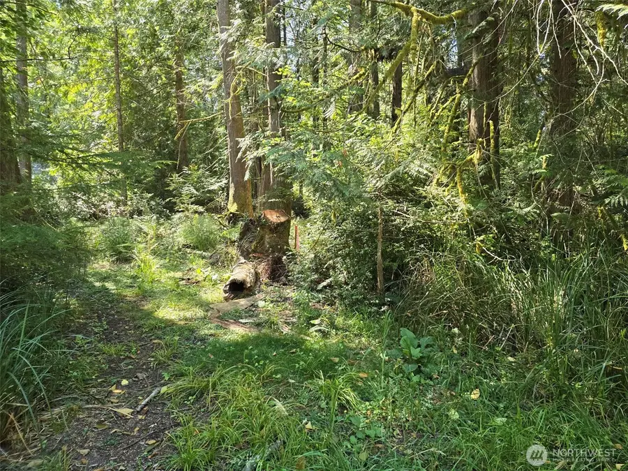 100 E Liberty Road #121195000015, Shelton, WA 98584 - #2