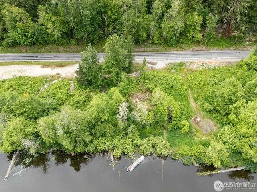 0 Orville Road E, Eatonville, WA 98328 - #3