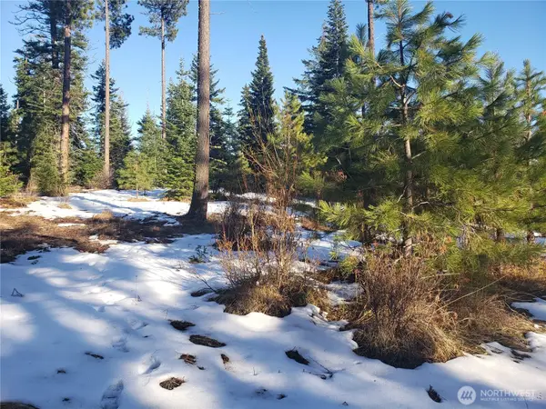 0 R&r Heights Drive #Lot F, Roslyn, WA 98941