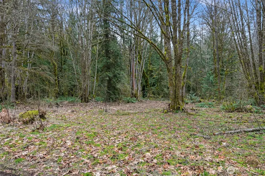 7738 Maple Drive #18, Maple Falls, WA 98266 - #2