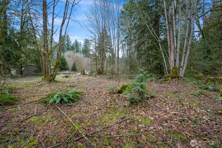 7738 Maple Drive #18, Maple Falls, WA 98266 - #3