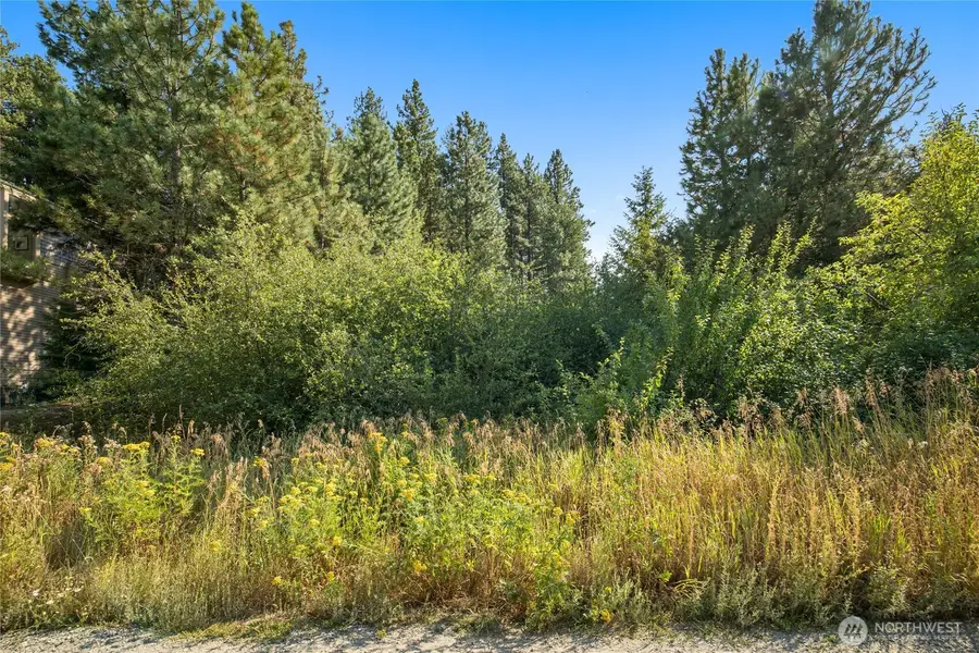0 5th Street Alley, Roslyn, WA 98941 - #2