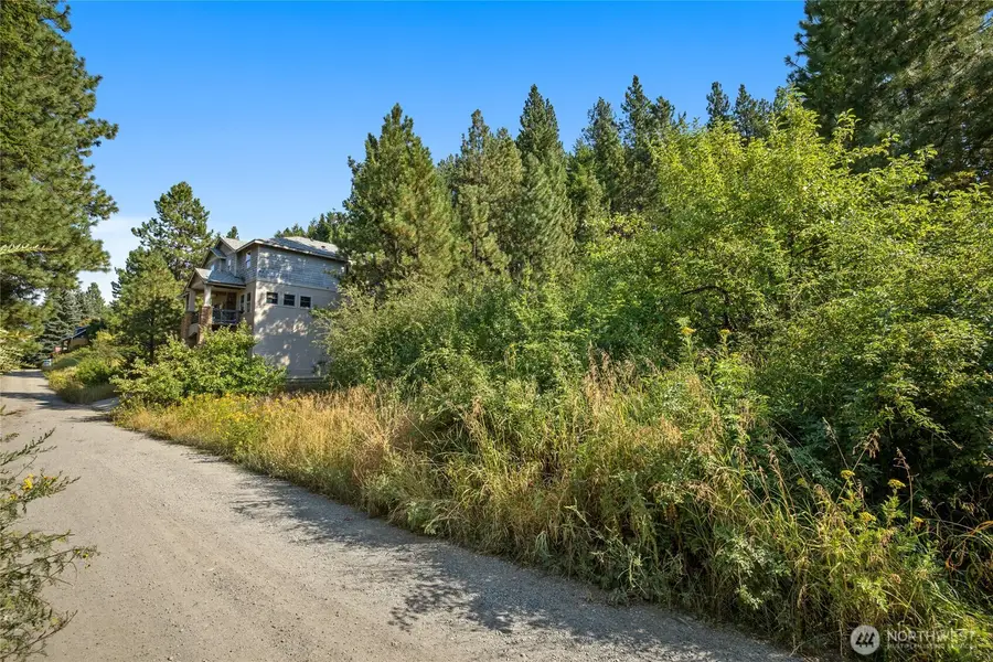 0 5th Street Alley, Roslyn, WA 98941 - #3