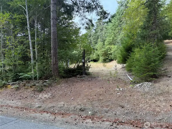 397 NE Larson Lake Road, Belfair, WA 98528