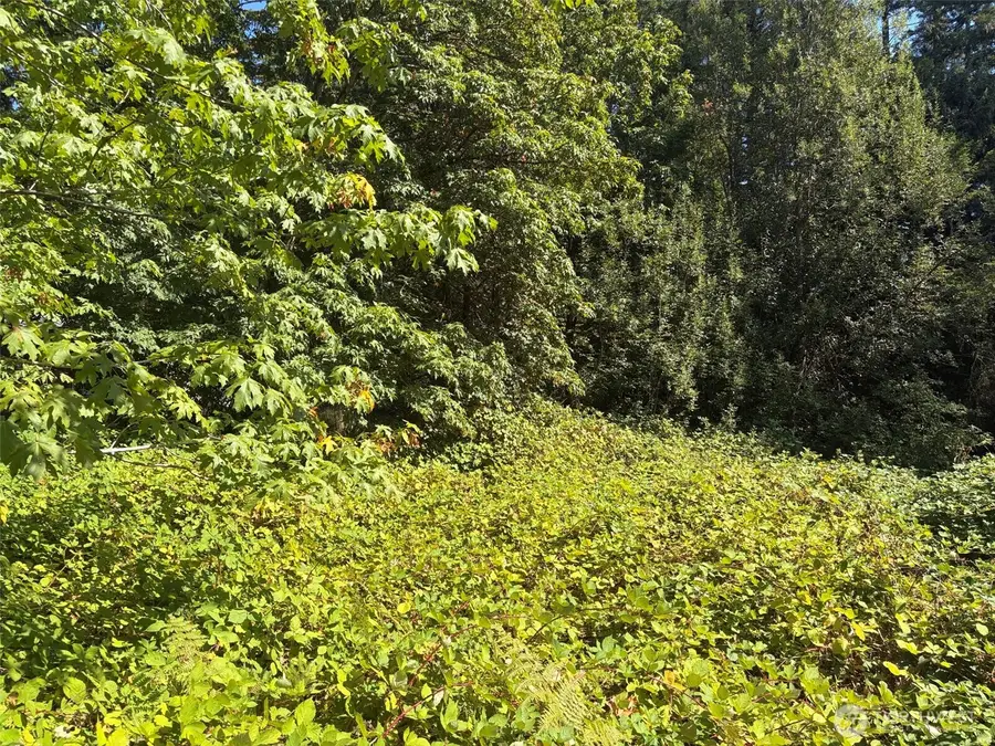 0 Oak Street, Quilcene, WA 98376 - #3