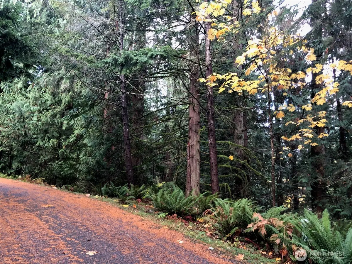 15 Wintercress Way #3, Bellingham, WA 98229 - #1