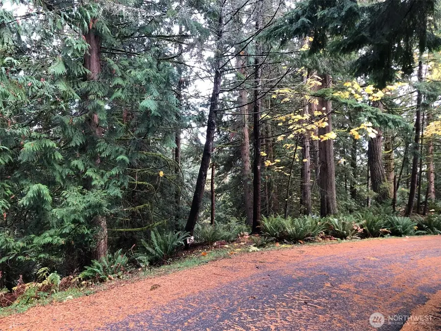 15 Wintercress Way #3, Bellingham, WA 98229 - #2