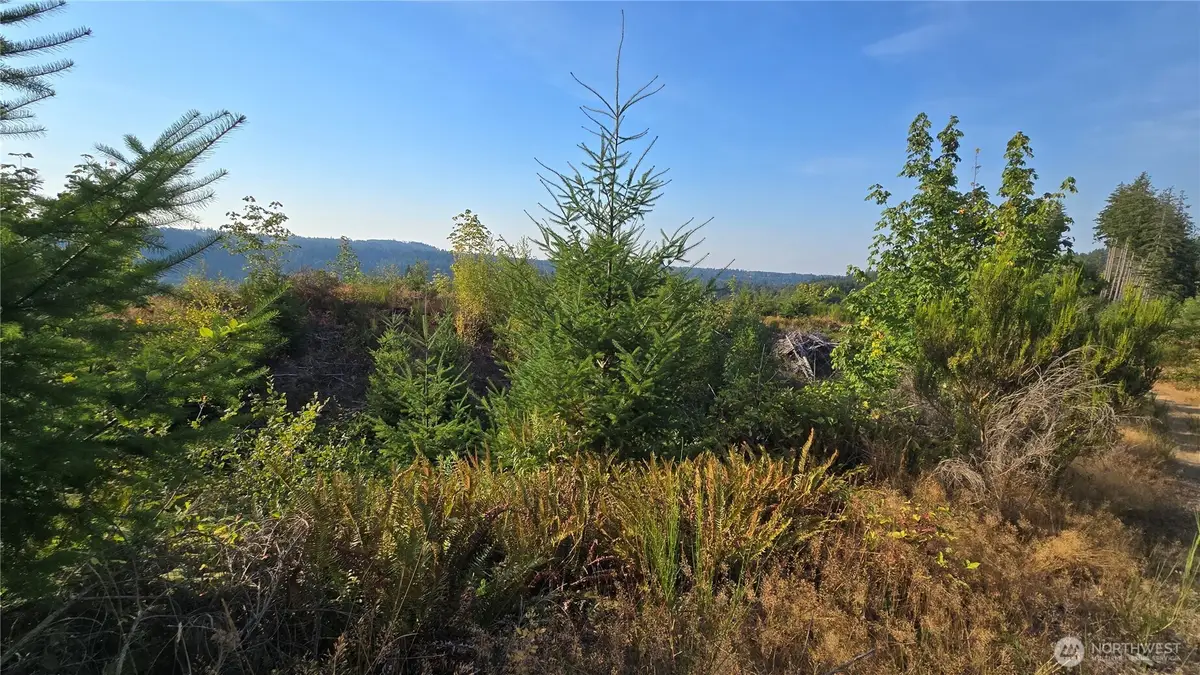 16001 223rd Avenue E #Parcel A, Orting, WA 98360 - #1