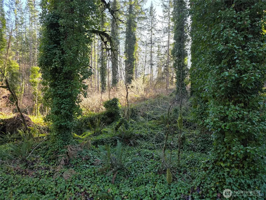 73 226th Avenue Ne #1, Granite Falls, WA 98252 - #2