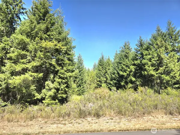 19710 146th Avenue Se, Yelm, WA 98597