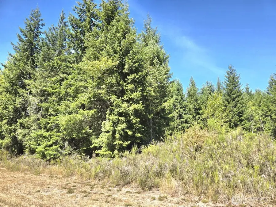 19710 146th Avenue Se, Yelm, WA 98597 - #2