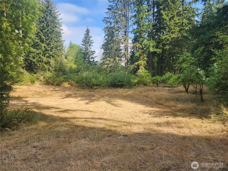 11719 Hobby Street Se, Yelm, WA 98597 - #3