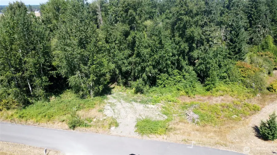 3009 342nd Street Ct S, Roy, WA 98580 - #3