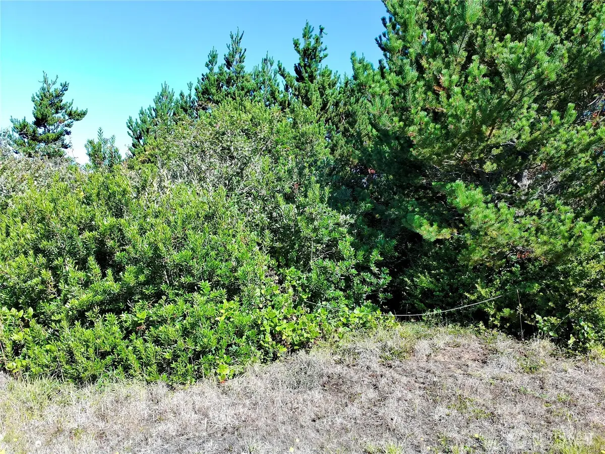 362 King Cyrus Loop Sw #467, Ocean Shores, WA 98569 - #1