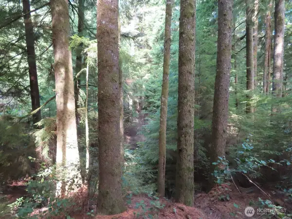 0 State Route 101, South Bend, WA 98586