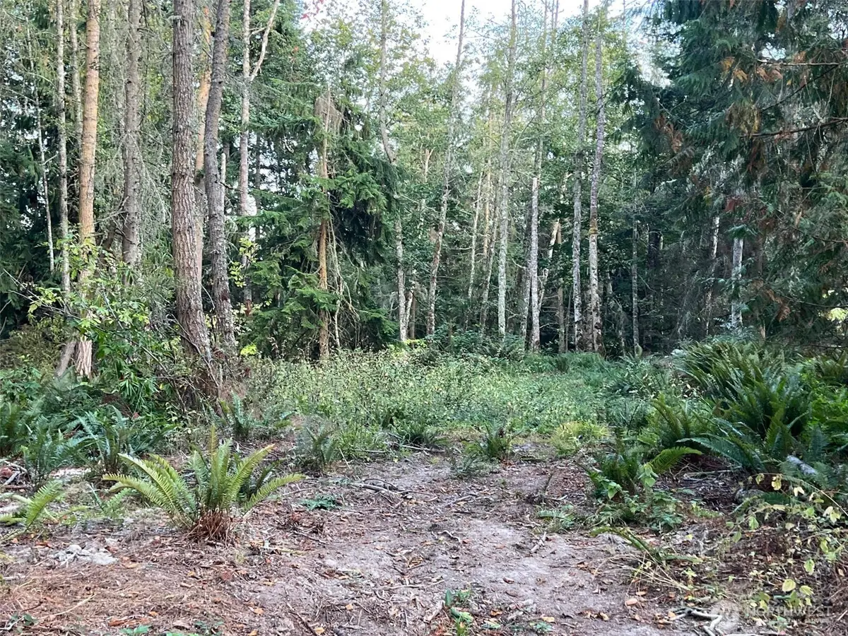9999 Took A Look Ln Lot 2 #2, Sequim, WA 98382 - #1