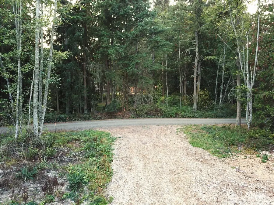 9999 Took A Look Ln Lot 2 #2, Sequim, WA 98382 - #3