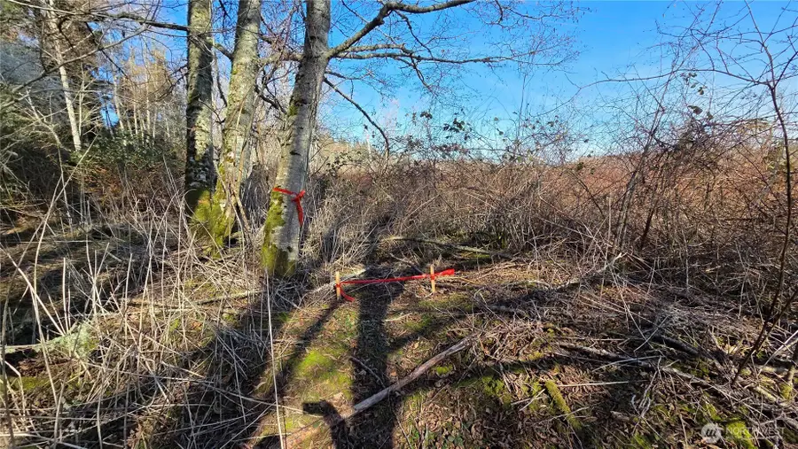 5707 Woodard Avenue, Freeland, WA 98249 - #3