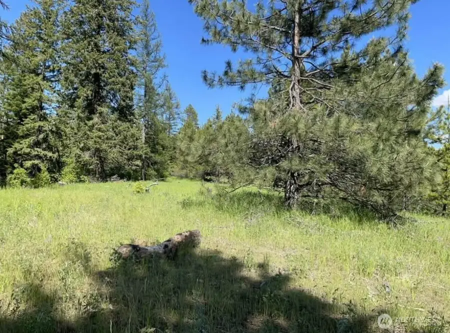 4401 Whittier Road, Clayton, WA 99110 - #2