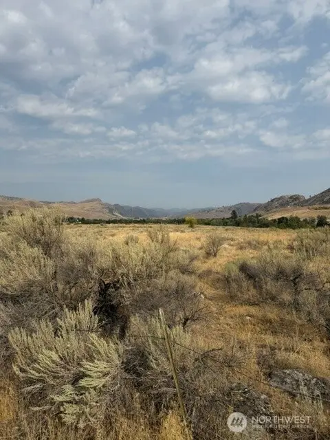 0 Crofoot Lane #4, Riverside, WA 98849 - #1