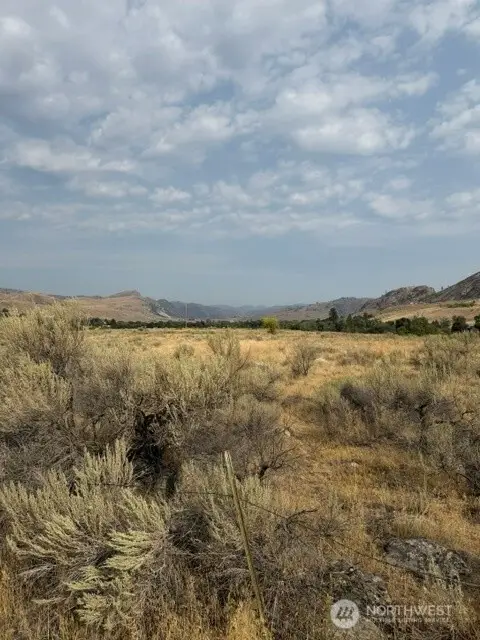0 Crofoot Lane #4, Riverside, WA 98849 - #2