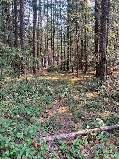 180 N Union Drive #101, Hoodsport, WA 98548 - #1