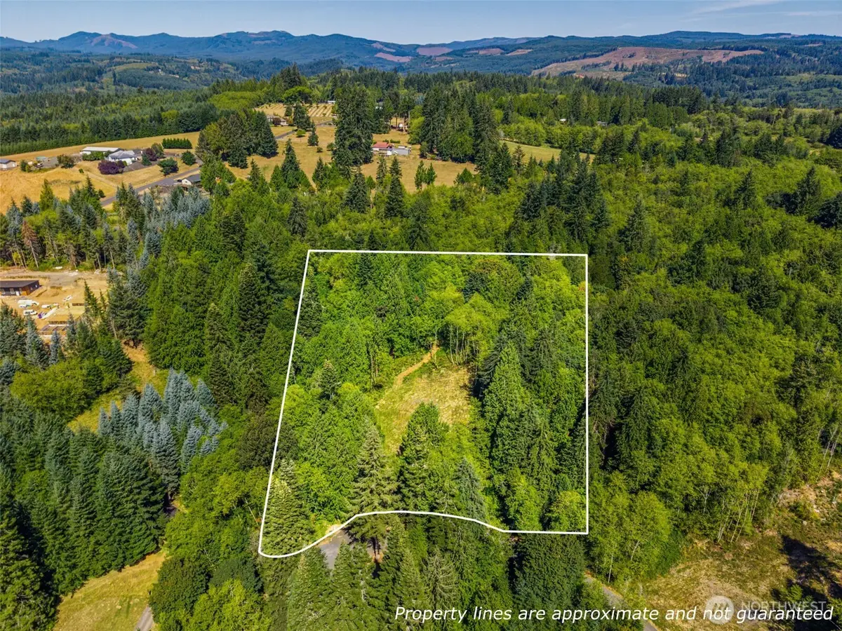 0 Old Tree Farm Drive, Longview, WA 98632 - #1