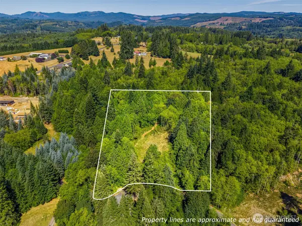 0 Old Tree Farm Drive, Longview, WA 98632