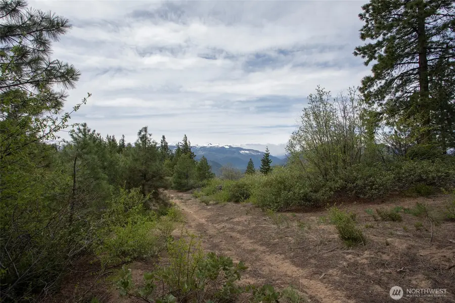 0 Forest Service 6601-550 Rd #C, Leavenworth, WA 98826 - #2