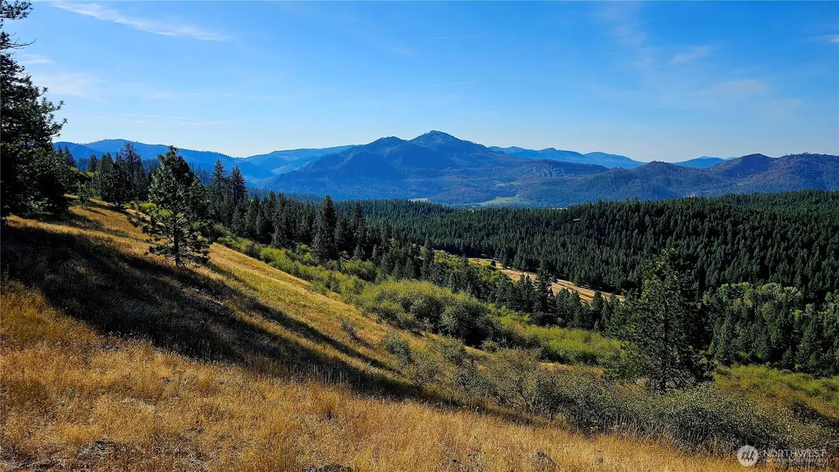 35 Addy Cedonia Road, Hunters, WA 99137 - #1