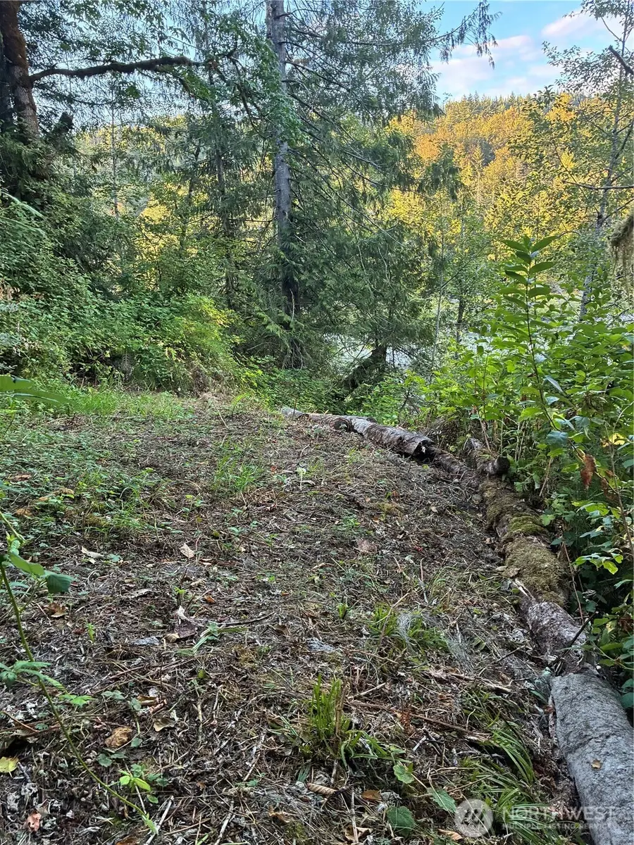 3 Mt. Index River Road #3, 4, 5, Gold Bar, WA 98251 - #3
