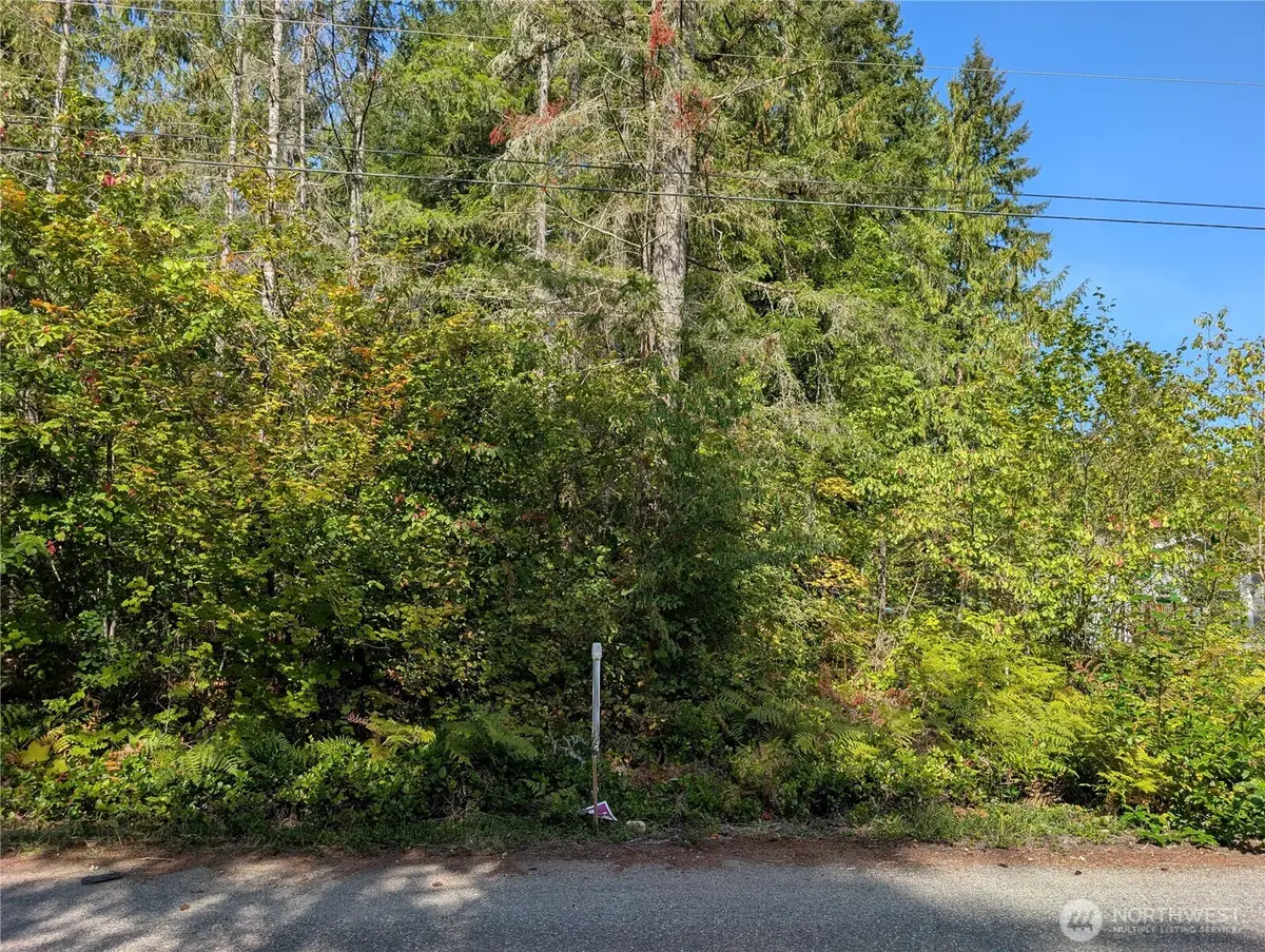 459 Baker Drive, Concrete, WA 98237 - #1