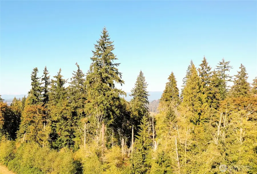0 165xx Stackpole Rd, Monroe, WA 98272 - #2