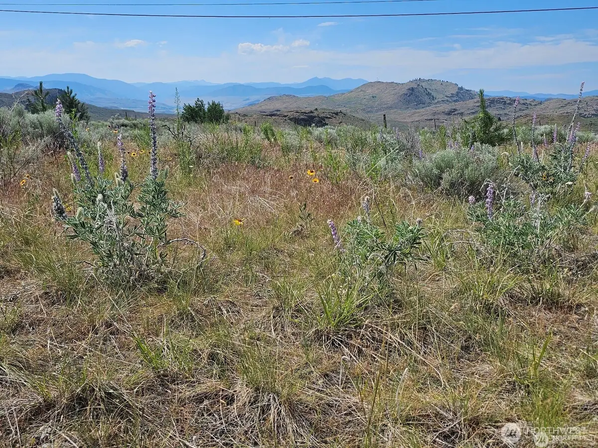 716 Havillah Road, Tonasket, WA 98855 - #1