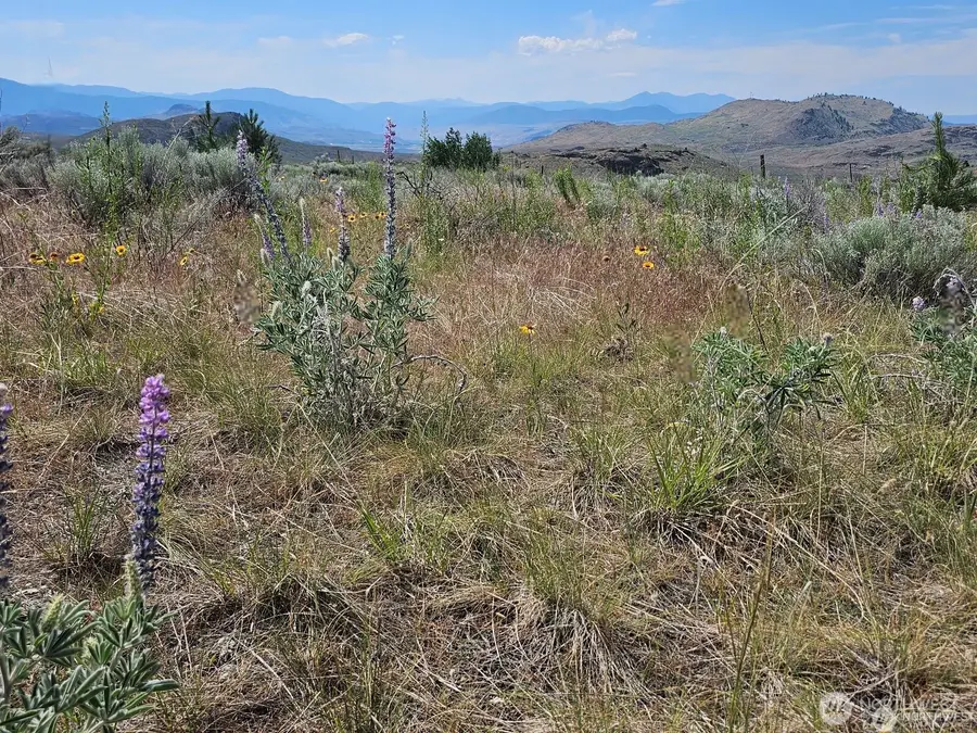 716 Havillah Road, Tonasket, WA 98855 - #3