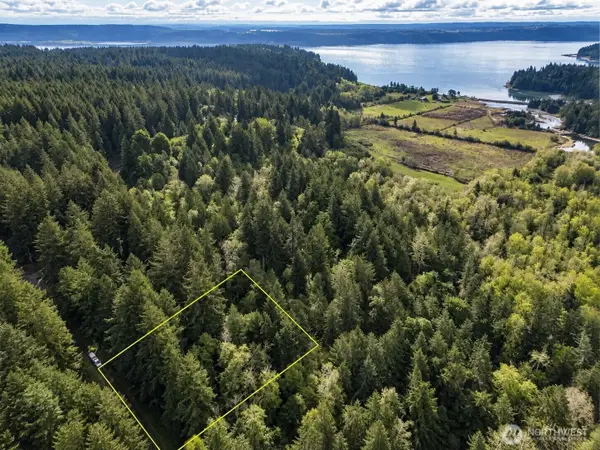 12204 Sound Drive, Anderson Island, WA 98303