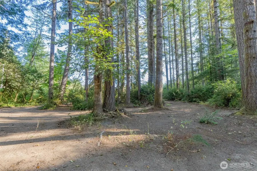 0 E Benson Loop Rd, Shelton, WA 98584 - #2