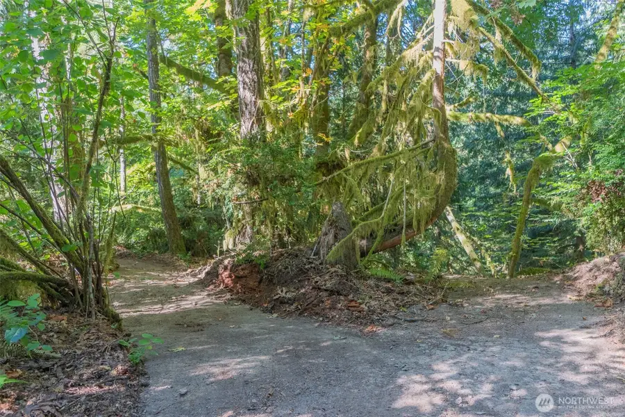 0 E Benson Loop Rd, Shelton, WA 98584 - #3