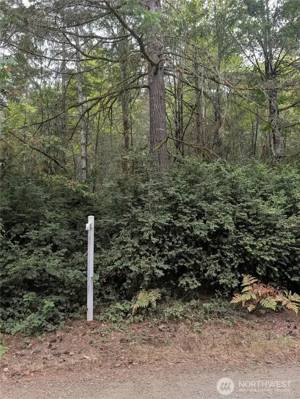 714 Webb Road Sw, Lakebay, WA 98349