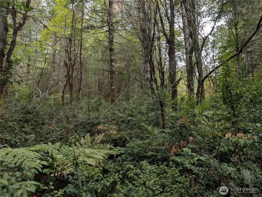 714 Webb Road Sw, Lakebay, WA 98349 - #2