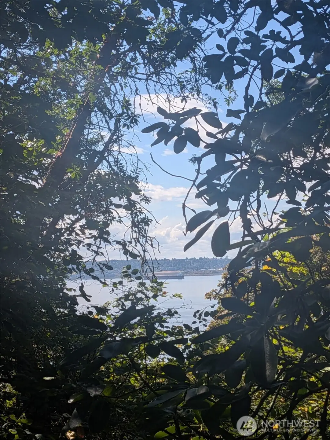 28800 97th Ave Sw, Vashon, WA 98070 - #1
