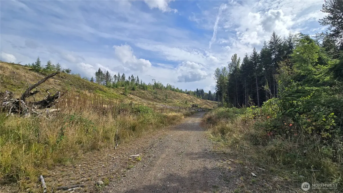 0 Tubbs Road #29, Buckley, WA 98321 - #1