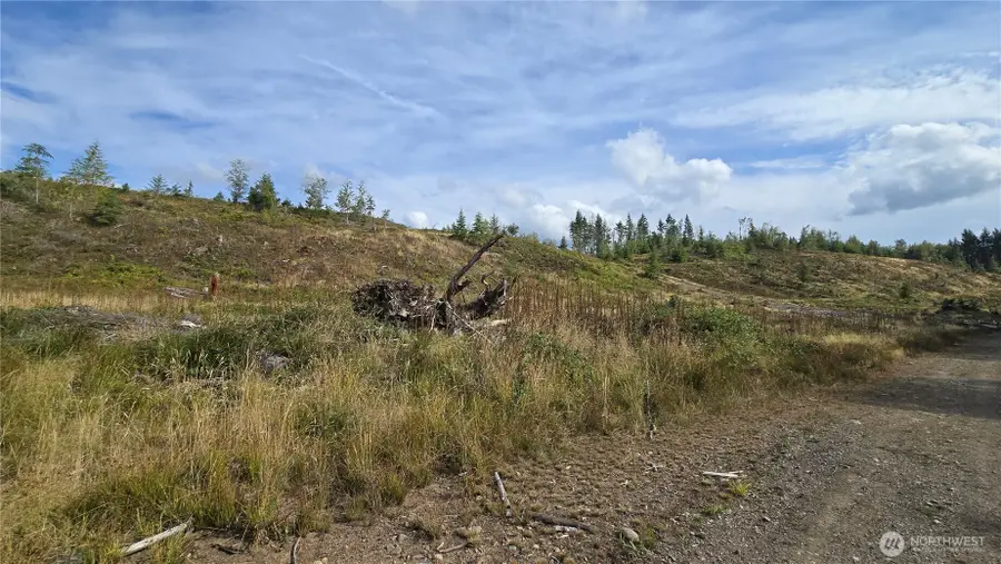0 Tubbs Road #29, Buckley, WA 98321 - #2