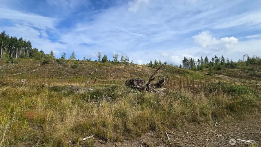 0 Tubbs Road #29, Buckley, WA 98321 - #3