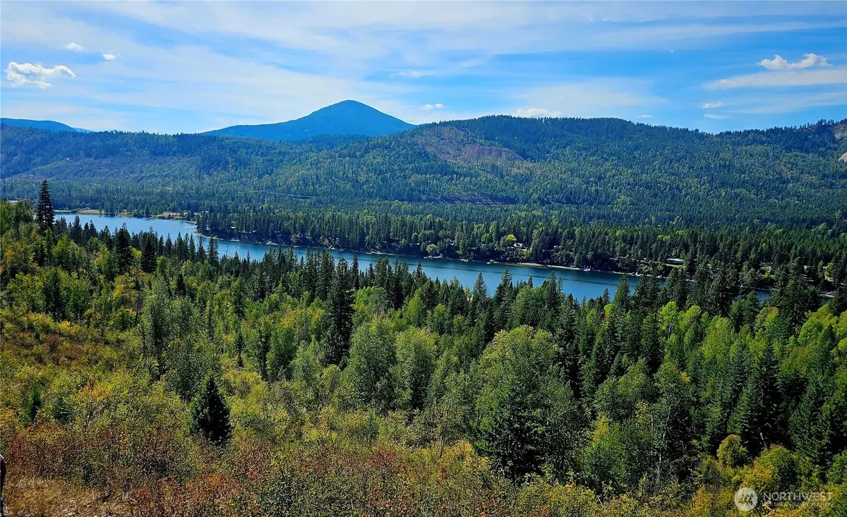 220 Catamount Ridge Lane, Ione, WA 99139 - #1