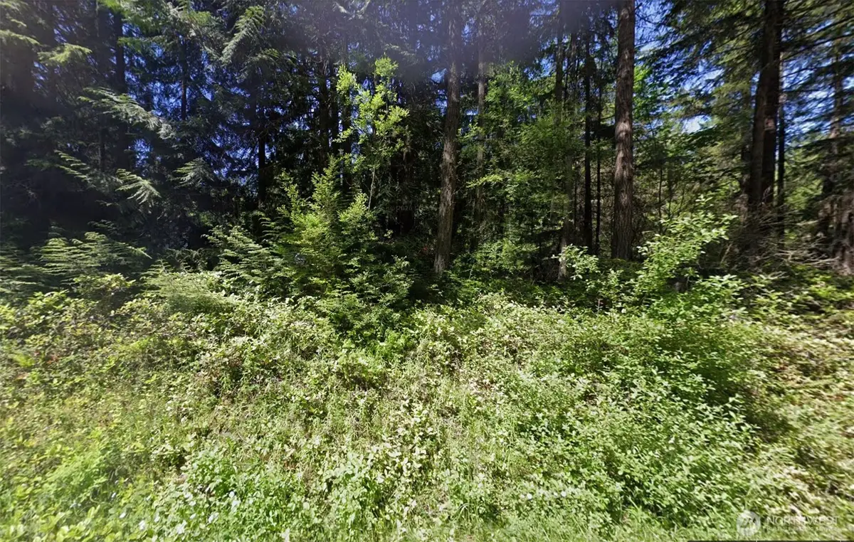 213 Retreat Lane, Chimacum, WA 98325 - #1