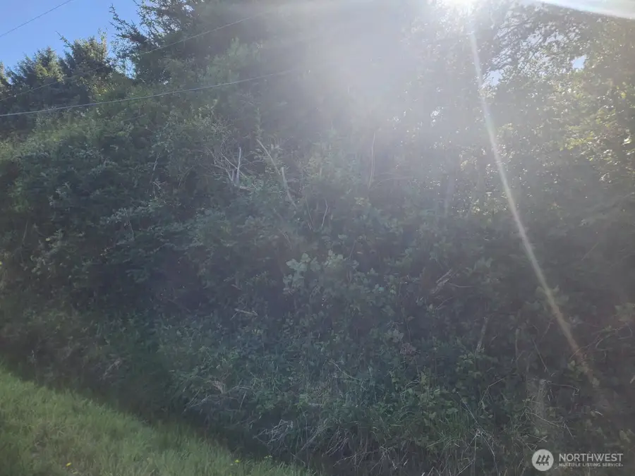 307 Centaurus Avenue Sw #238, Ocean Shores, WA 98569 - #2