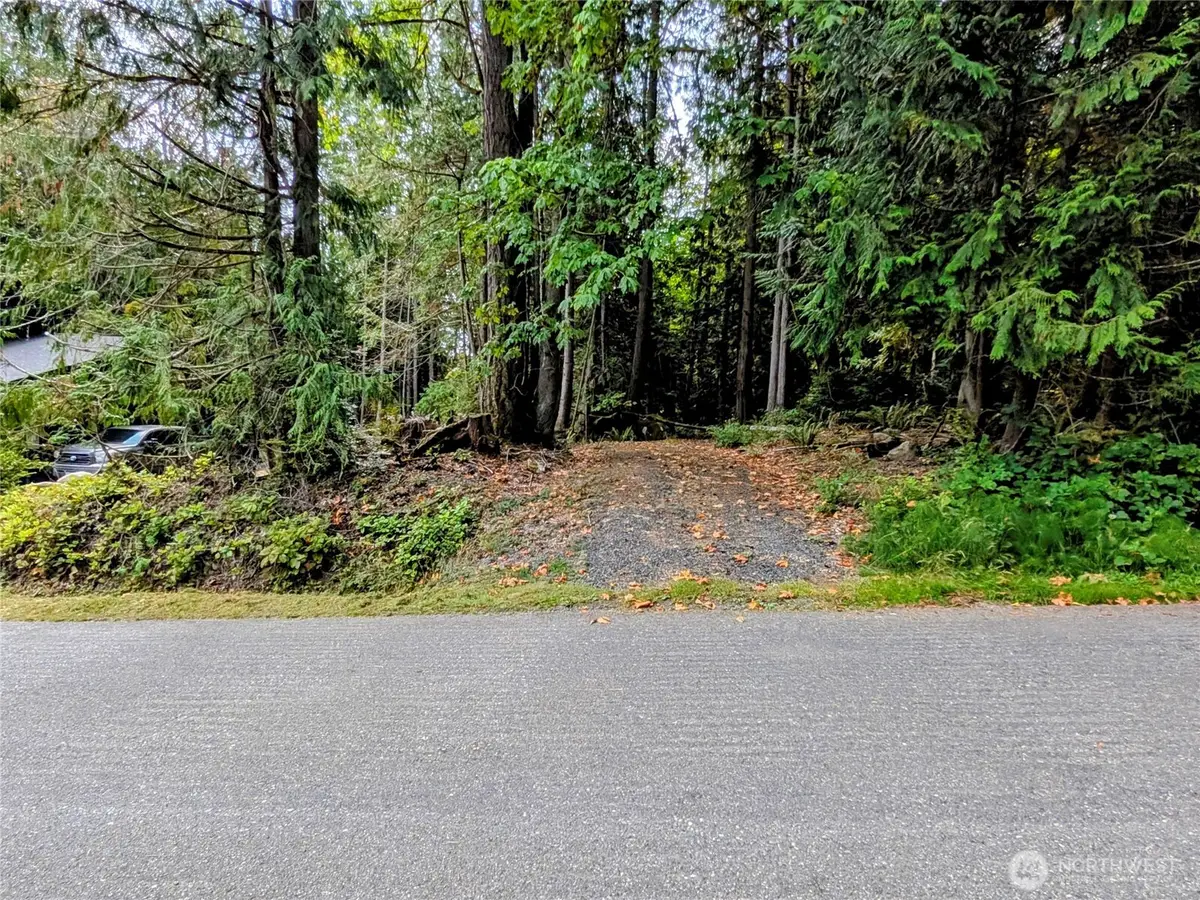 124 Goliah Lane #290, Port Ludlow, WA 98365 - #1