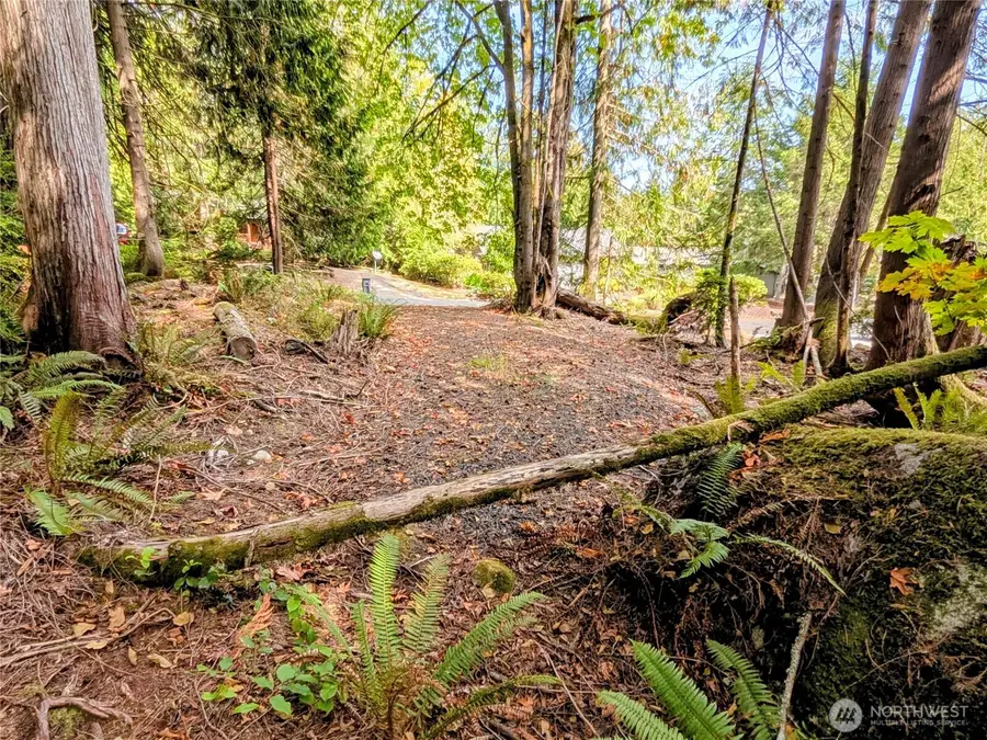 124 Goliah Lane #290, Port Ludlow, WA 98365 - #2